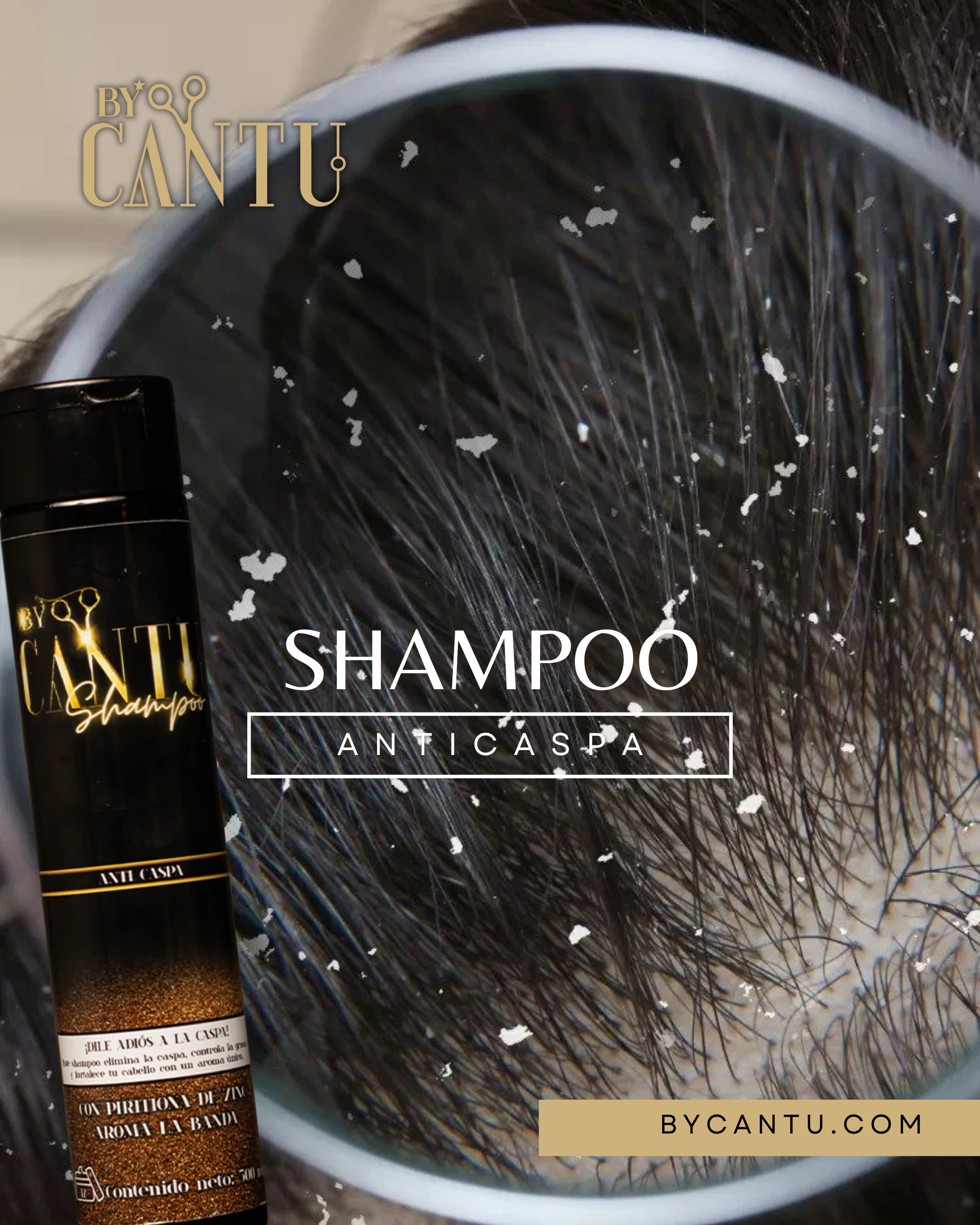 Shampoo Anticaspa